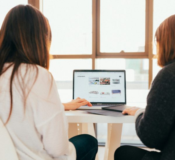 Web Development Company in Jodhpur